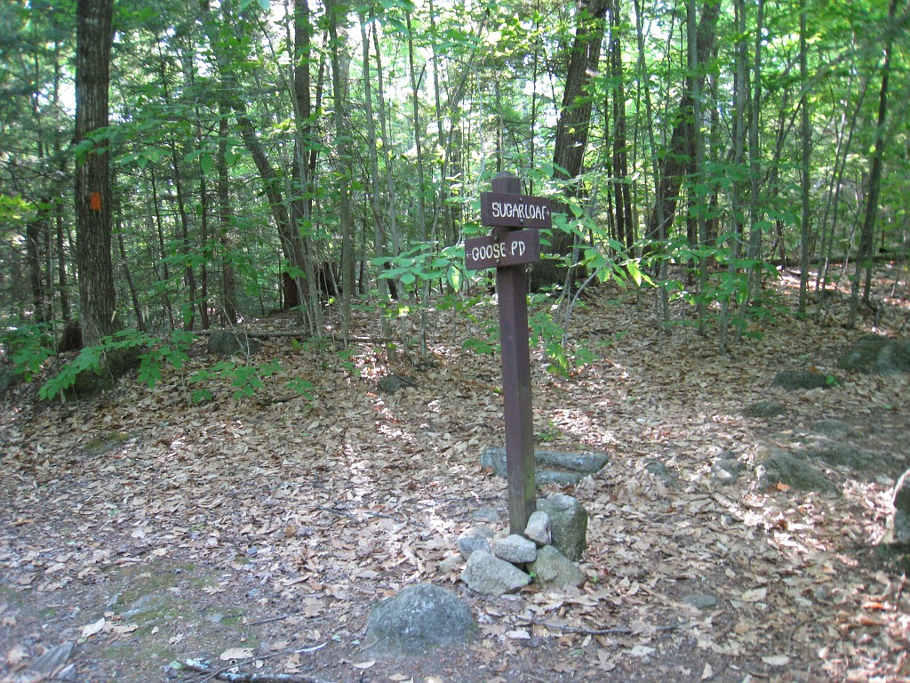 Elwell Trail NH 2010 082.jpg - The Elwell Trail North of Bristol NH, runs along Newfound Lake. The trail goes to Little and Big Sugarloaf mountains. Supposedly it also connects to Mt Cardigan. May 2010.